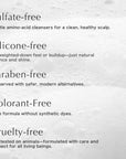 Complete Cleansing Hair Treatment